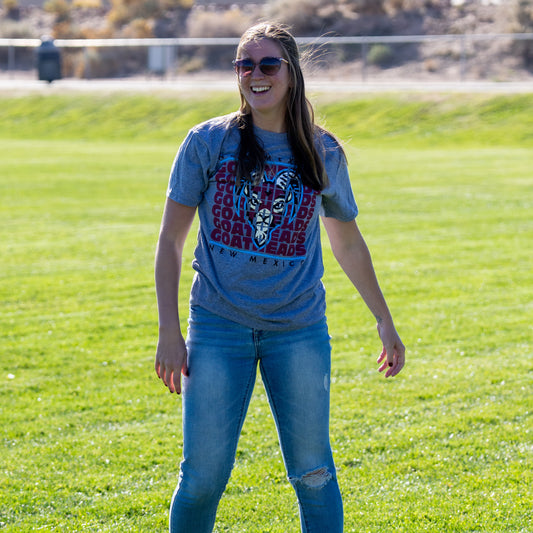 Goatheads Primary Repeat T-Shirt - Grey