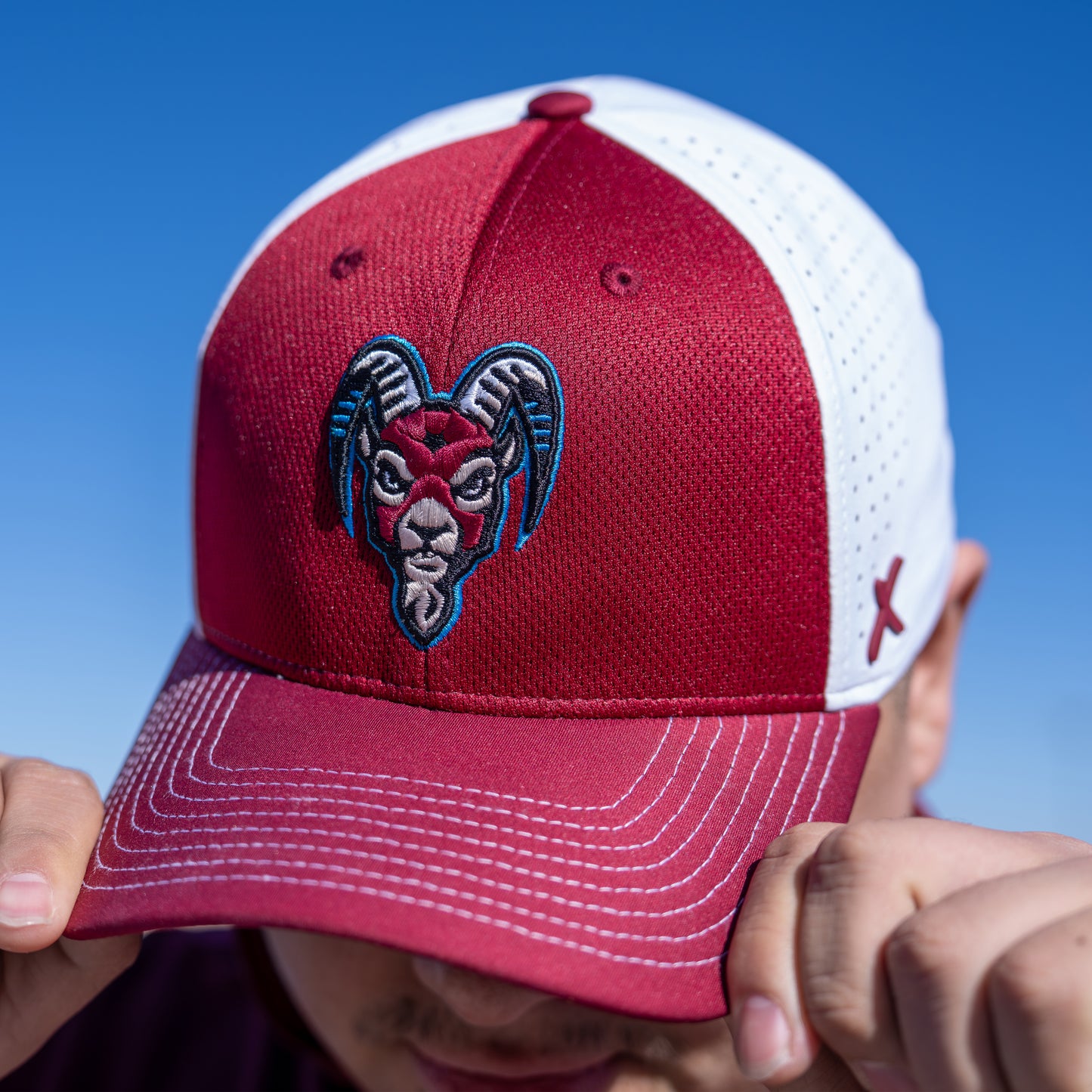 Goatheads Primary Logo Flex Fit Performance Hat