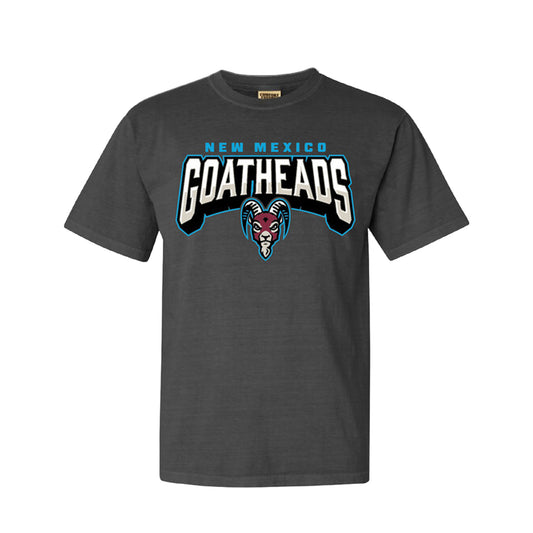 Goatheads Primary Vintage Comfort Colors T-Shirt